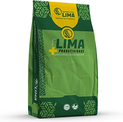 Lima +Produtividade